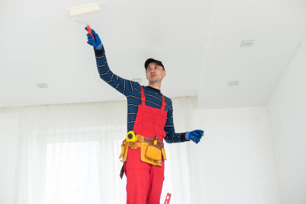 Best Basement Mold Removal  in Cle Elum, WA